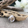 Magical-Beige-Raw-Shell-Pendant,-Necklace