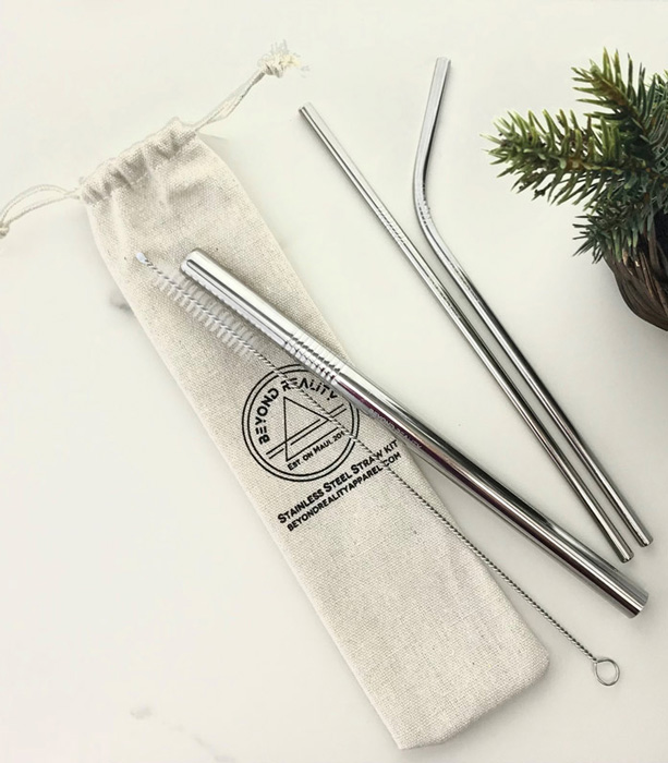 https://beyondrealityprivatetours.com/wp-content/uploads/2018/12/Silver-Stainless-Steel-Straw-kit-top-view-2.jpg